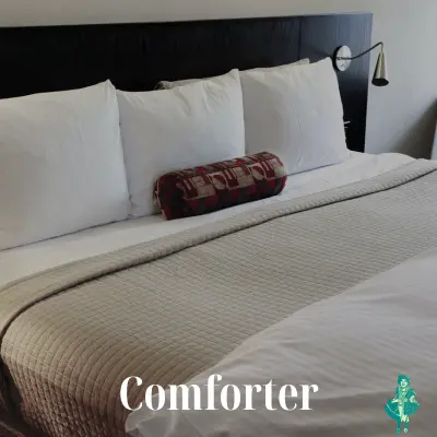 Comforter
